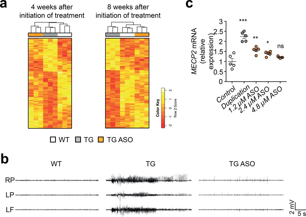 https://cdn.ncbi.nlm.nih.gov/pmc/blobs/dca7/4839300/1d73c63cf696/nihms731889f4.jpg
