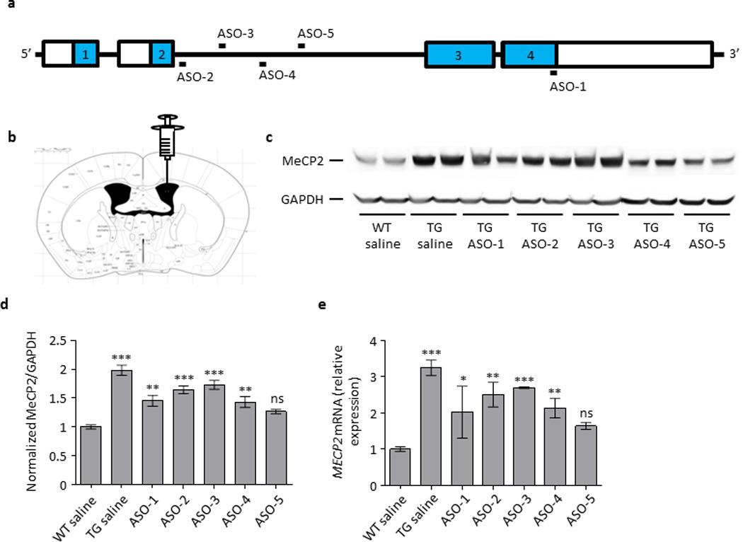 https://cdn.ncbi.nlm.nih.gov/pmc/blobs/dca7/4839300/904790f81c80/nihms731889f9.jpg