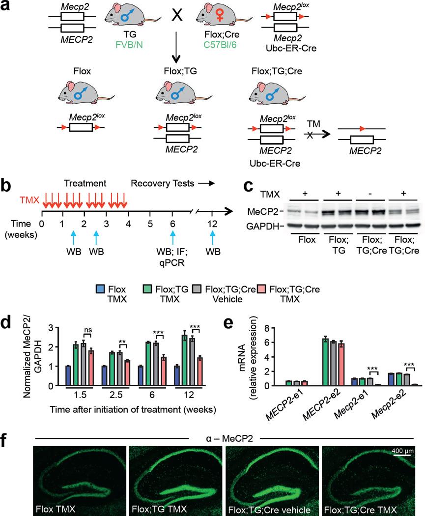 https://cdn.ncbi.nlm.nih.gov/pmc/blobs/dca7/4839300/d06c92a8cace/nihms731889f1.jpg