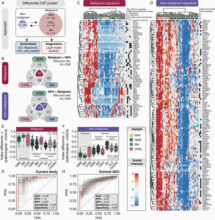 https://cdn.ncbi.nlm.nih.gov/pmc/blobs/dca7/9639356/fdcee1b16326/vdac161_fig2.jpg