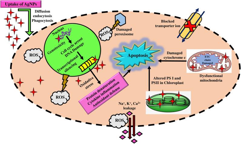 https://cdn.ncbi.nlm.nih.gov/pmc/blobs/dcaa/10928228/152caaaa1e99/41598_2024_56619_Fig10_HTML.jpg