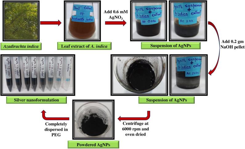https://cdn.ncbi.nlm.nih.gov/pmc/blobs/dcaa/10928228/458c975b5830/41598_2024_56619_Fig1_HTML.jpg