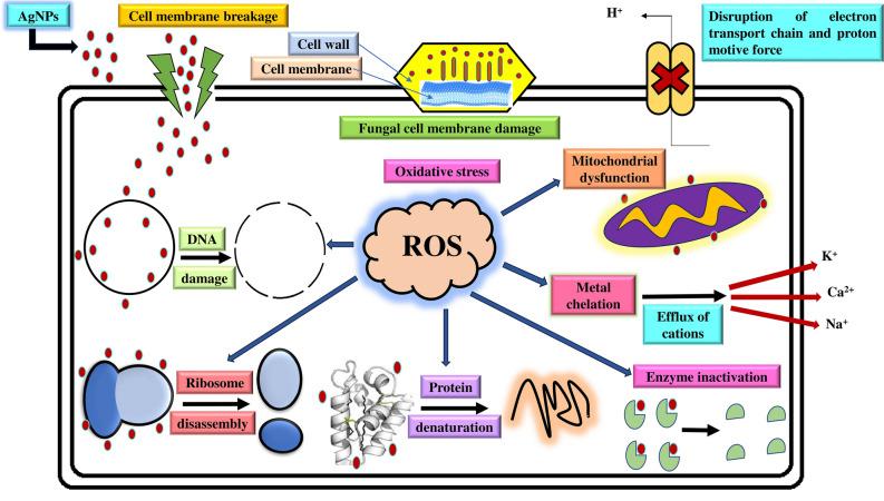 https://cdn.ncbi.nlm.nih.gov/pmc/blobs/dcaa/10928228/67e6b53c6339/41598_2024_56619_Fig9_HTML.jpg