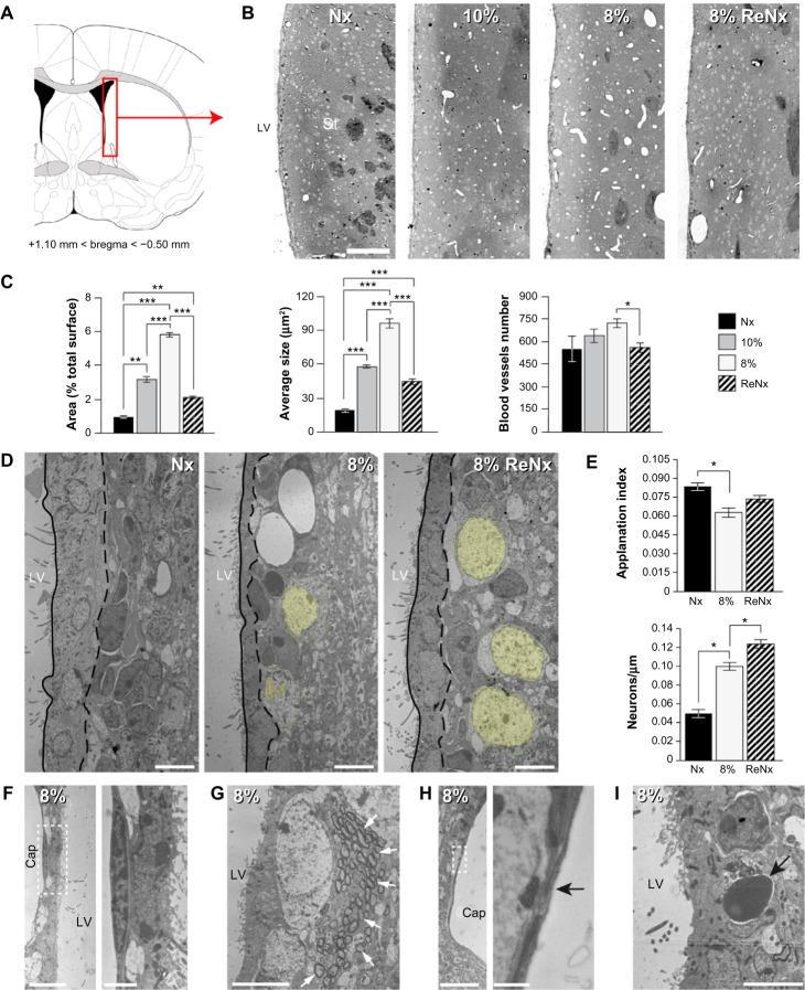 https://cdn.ncbi.nlm.nih.gov/pmc/blobs/dcae/5045070/0d77c260fb72/hp-3-015Fig1.jpg