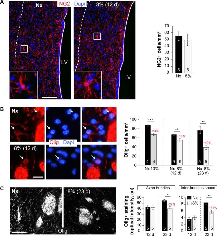 https://cdn.ncbi.nlm.nih.gov/pmc/blobs/dcae/5045070/114c3ae16d6c/hp-3-015Fig6.jpg