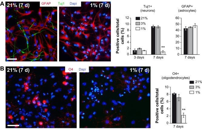 https://cdn.ncbi.nlm.nih.gov/pmc/blobs/dcae/5045070/461dadd5c447/hp-3-015Fig5.jpg