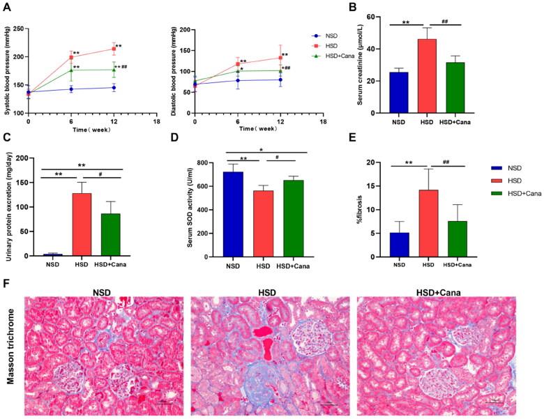 https://cdn.ncbi.nlm.nih.gov/pmc/blobs/dcaf/10776083/c0caa6e2e8e1/IRNF_A_2300314_F0001_C.jpg