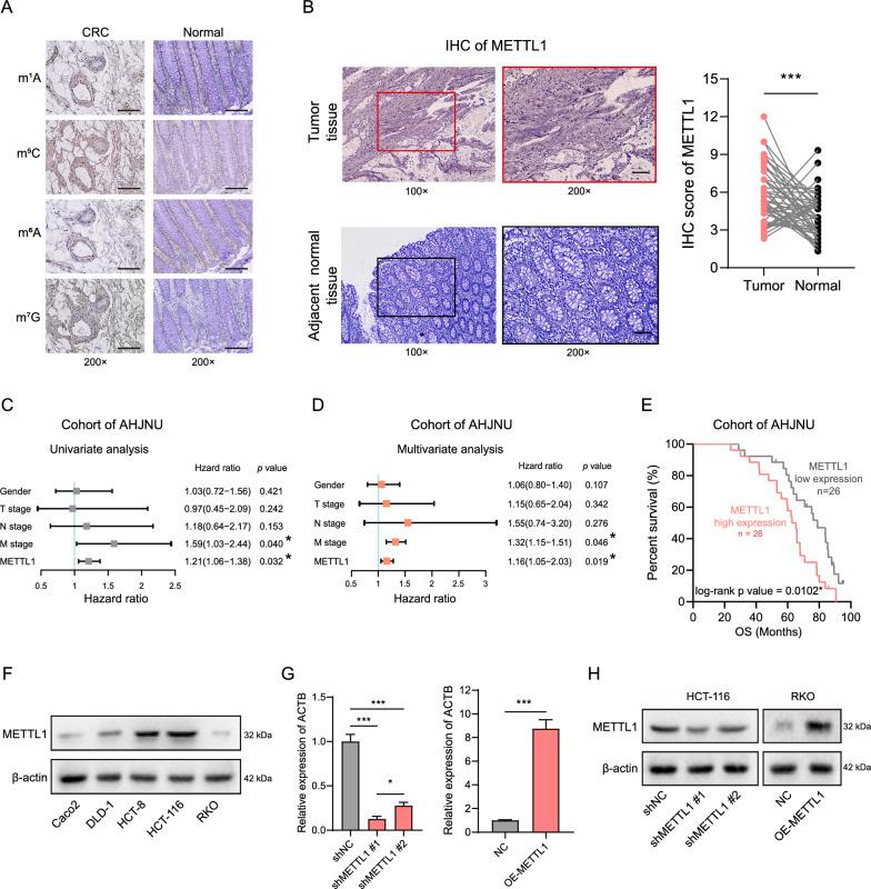 https://cdn.ncbi.nlm.nih.gov/pmc/blobs/dcb3/11686999/3d4591af6aeb/12967_2024_5991_Fig1_HTML.jpg