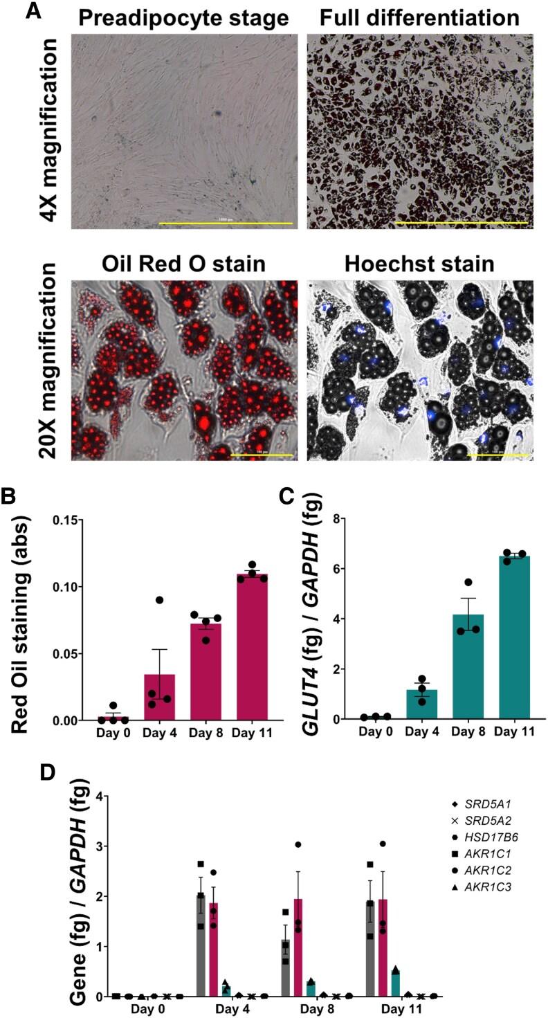 https://cdn.ncbi.nlm.nih.gov/pmc/blobs/dcb3/12105912/38b3207f0775/bvaf087f3.jpg