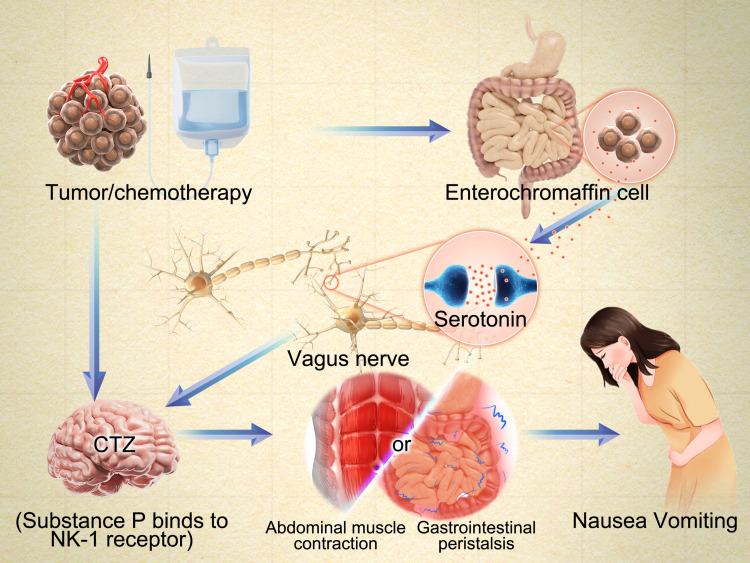 https://cdn.ncbi.nlm.nih.gov/pmc/blobs/dcb5/12325115/34dff16023d8/TCRM-21-1187-g0001.jpg