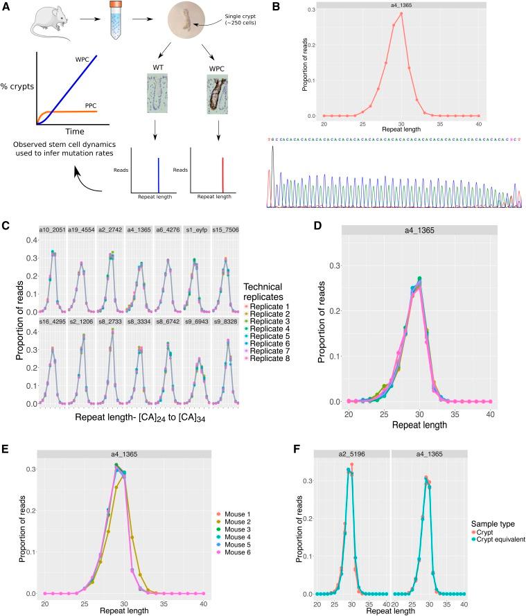 https://cdn.ncbi.nlm.nih.gov/pmc/blobs/dcb7/6614890/b863b2542f1b/655f1.jpg