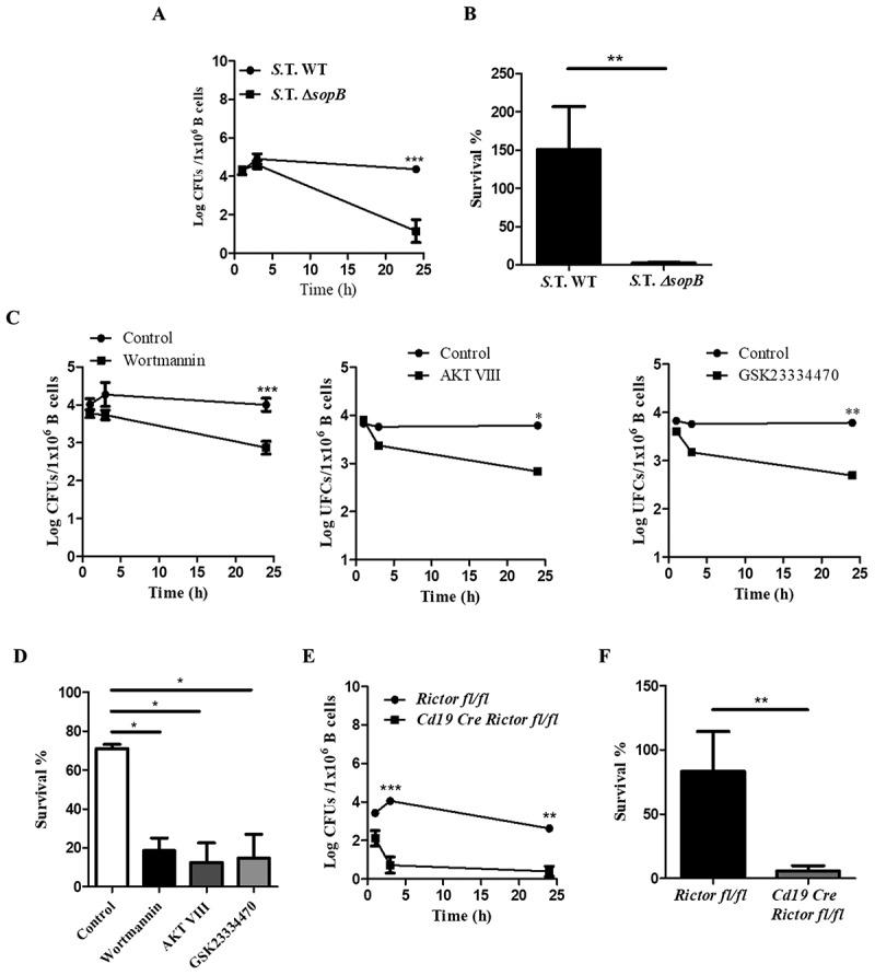 https://cdn.ncbi.nlm.nih.gov/pmc/blobs/dcba/6177241/7aad613dd916/kvir-09-01-1509664-g004.jpg