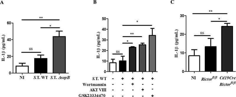 https://cdn.ncbi.nlm.nih.gov/pmc/blobs/dcba/6177241/83f35efd5ddb/kvir-09-01-1509664-g003.jpg