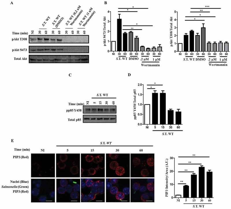 https://cdn.ncbi.nlm.nih.gov/pmc/blobs/dcba/6177241/d6e8f7622d4d/kvir-09-01-1509664-g002.jpg
