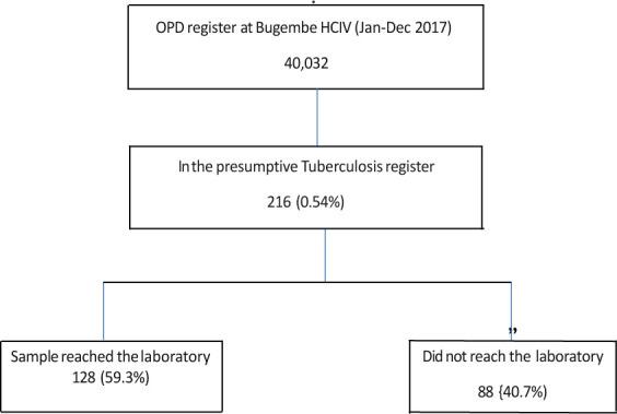 https://cdn.ncbi.nlm.nih.gov/pmc/blobs/dcba/7609087/0a9822b673ef/AFHS2002-0633Fig1.jpg