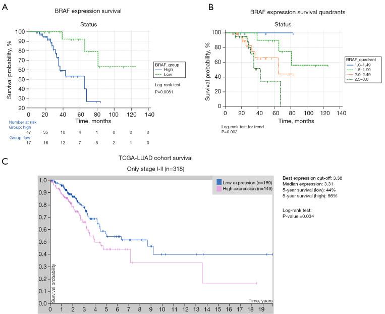 https://cdn.ncbi.nlm.nih.gov/pmc/blobs/dcbb/9903089/253926428ba4/tlcr-12-01-27-f5.jpg