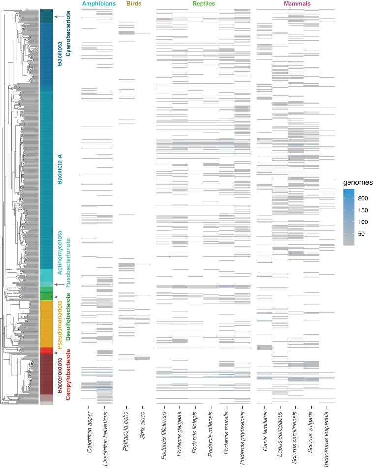 https://cdn.ncbi.nlm.nih.gov/pmc/blobs/dcbc/12412122/c6de2368a8f3/giaf102fig3.jpg