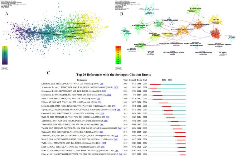 https://cdn.ncbi.nlm.nih.gov/pmc/blobs/dcc3/12066688/b71042554786/fped-13-1468788-g007.jpg