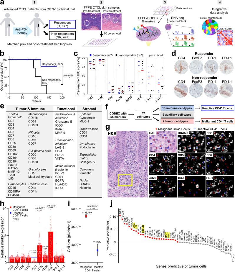 https://cdn.ncbi.nlm.nih.gov/pmc/blobs/dcc3/8602403/5317a773105b/41467_2021_26974_Fig1_HTML.jpg