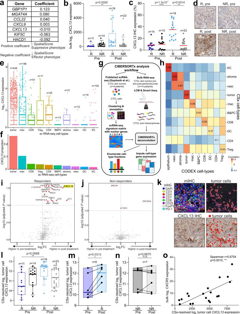 https://cdn.ncbi.nlm.nih.gov/pmc/blobs/dcc3/8602403/84e0c173170a/41467_2021_26974_Fig5_HTML.jpg