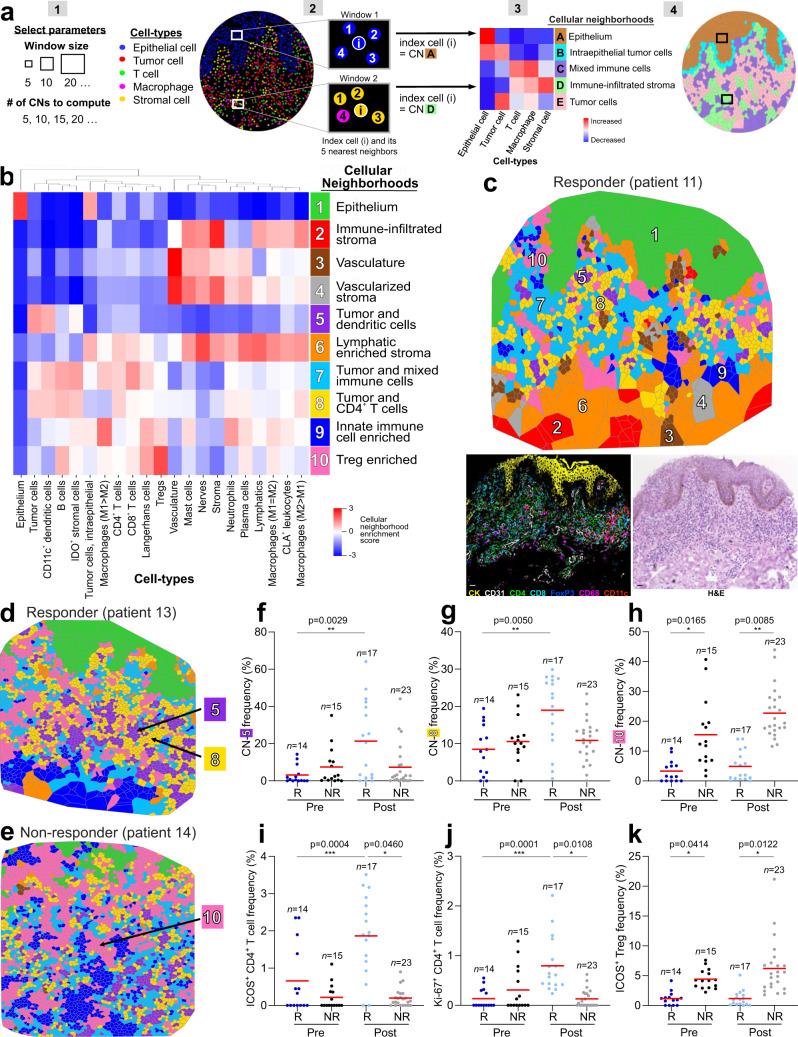 https://cdn.ncbi.nlm.nih.gov/pmc/blobs/dcc3/8602403/8e8f3dd2afe7/41467_2021_26974_Fig3_HTML.jpg