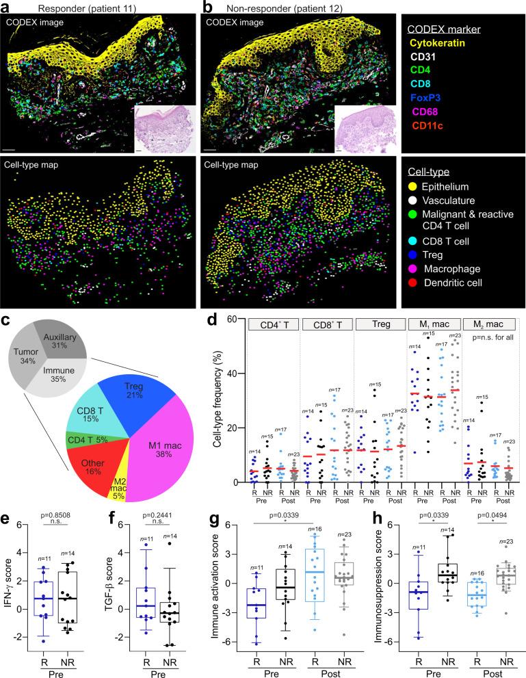 https://cdn.ncbi.nlm.nih.gov/pmc/blobs/dcc3/8602403/ede9e1ce9f17/41467_2021_26974_Fig2_HTML.jpg