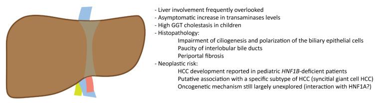 https://cdn.ncbi.nlm.nih.gov/pmc/blobs/dcc6/9856658/2355c47a8ec2/cells-12-00307-g002.jpg