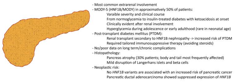 https://cdn.ncbi.nlm.nih.gov/pmc/blobs/dcc6/9856658/cfc184d6e56e/cells-12-00307-g003.jpg