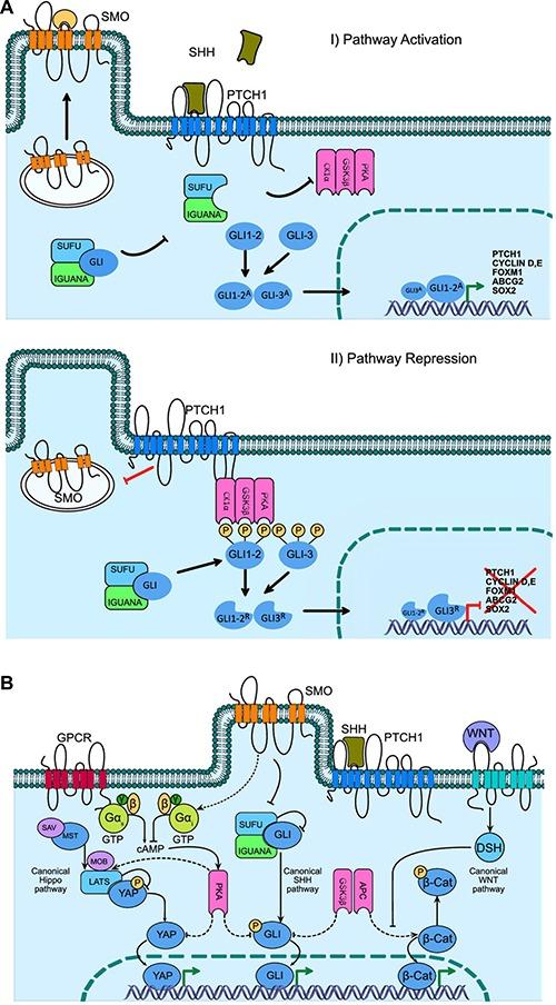 https://cdn.ncbi.nlm.nih.gov/pmc/blobs/dcc8/5601171/26362c007fdd/oncotarget-08-60684-g001.jpg