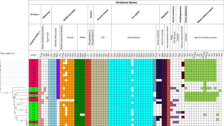 https://cdn.ncbi.nlm.nih.gov/pmc/blobs/dccb/10210948/3df0ace0d1e8/mgen-9-977-g003.jpg