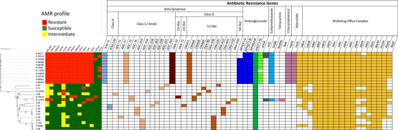 https://cdn.ncbi.nlm.nih.gov/pmc/blobs/dccb/10210948/5eb6dc3719ca/mgen-9-977-g001.jpg