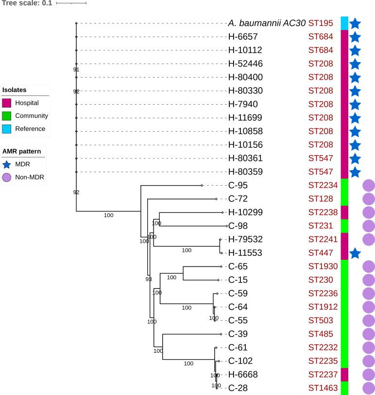 https://cdn.ncbi.nlm.nih.gov/pmc/blobs/dccb/10210948/8a0d47426d77/mgen-9-977-g002.jpg