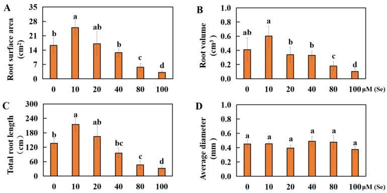https://cdn.ncbi.nlm.nih.gov/pmc/blobs/dccb/11174541/d9d109f87382/plants-13-01580-g003.jpg