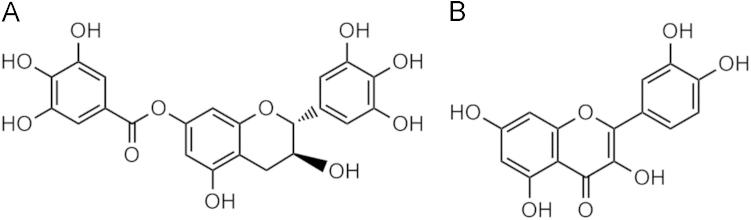 https://cdn.ncbi.nlm.nih.gov/pmc/blobs/dccb/4724690/269679f01e64/gr1.jpg