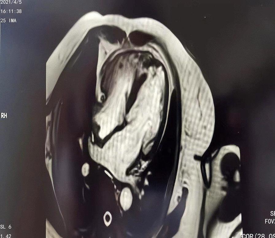 https://cdn.ncbi.nlm.nih.gov/pmc/blobs/dccb/9461131/428fe9668f27/12872_2022_2834_Fig6_HTML.jpg