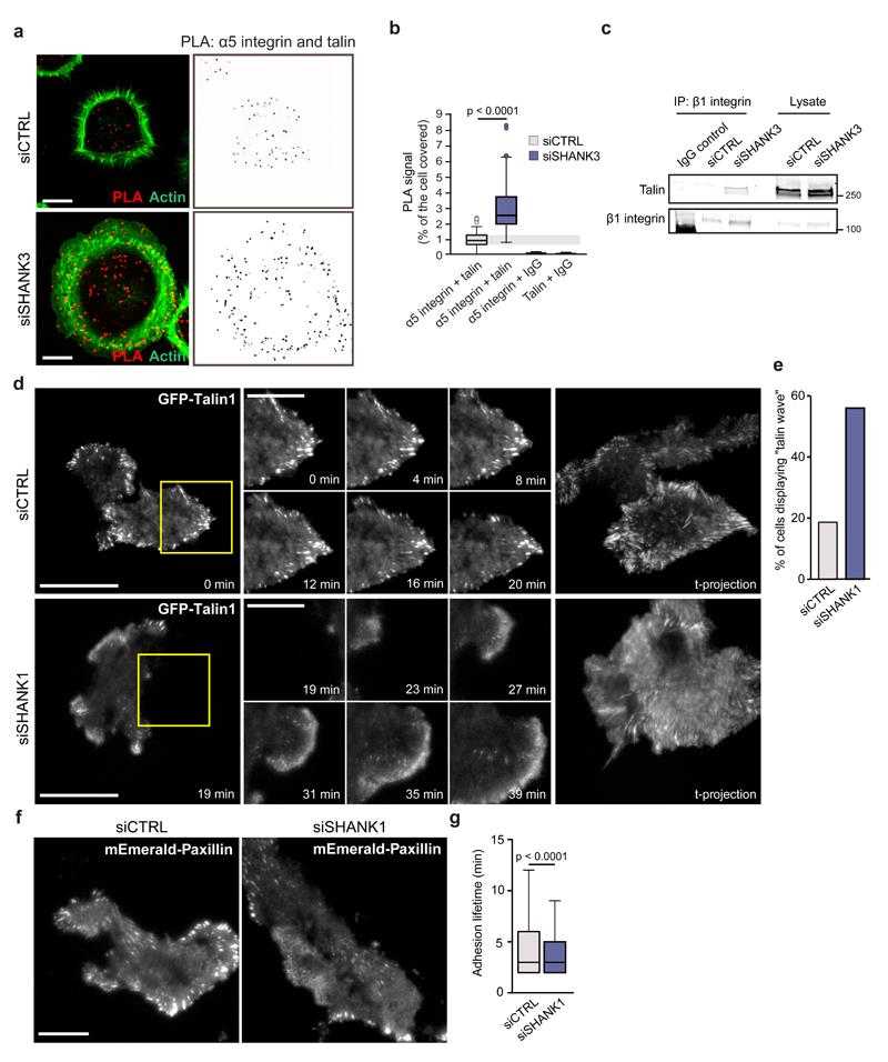 https://cdn.ncbi.nlm.nih.gov/pmc/blobs/dccd/5386136/d7a416c43a56/emss-71436-f007.jpg