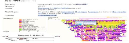https://cdn.ncbi.nlm.nih.gov/pmc/blobs/dccd/6311483/01f1f45806d4/OAMJMS-6-2277-g001.jpg