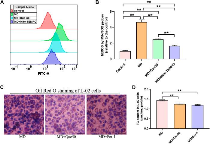 https://cdn.ncbi.nlm.nih.gov/pmc/blobs/dccd/9039018/092e5b10628a/fphar-13-876550-g006.jpg