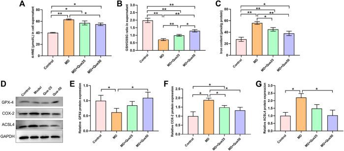https://cdn.ncbi.nlm.nih.gov/pmc/blobs/dccd/9039018/4d12c02e04dc/fphar-13-876550-g005.jpg