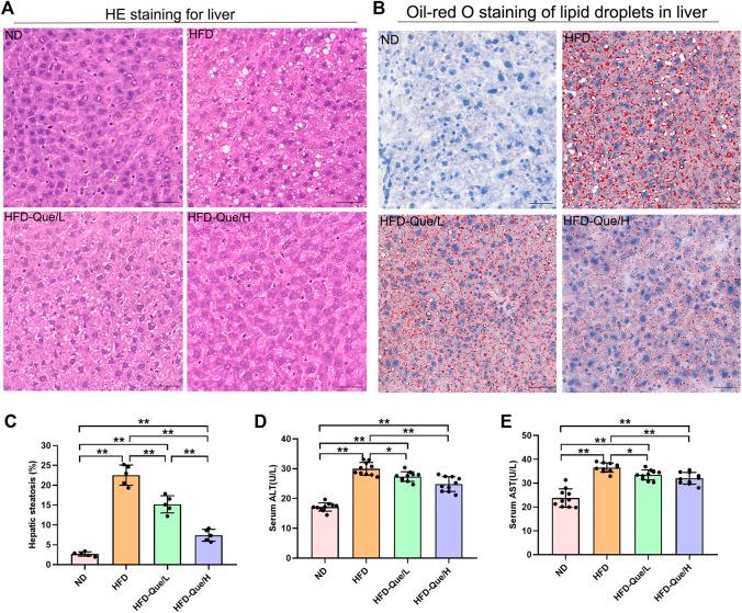 https://cdn.ncbi.nlm.nih.gov/pmc/blobs/dccd/9039018/74317b9d633d/fphar-13-876550-g002.jpg