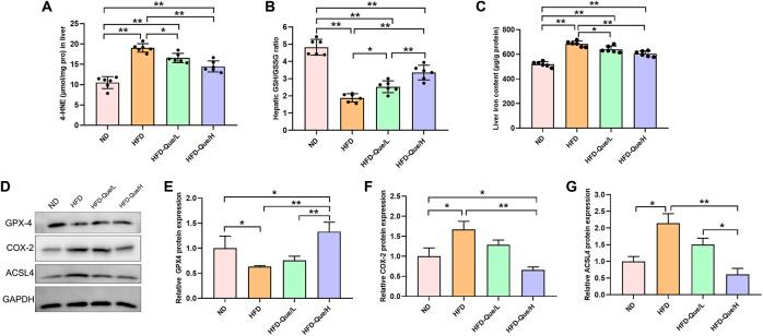 https://cdn.ncbi.nlm.nih.gov/pmc/blobs/dccd/9039018/d50aa3b7d28c/fphar-13-876550-g003.jpg