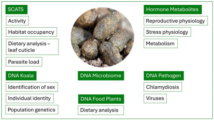 https://cdn.ncbi.nlm.nih.gov/pmc/blobs/dccf/11273466/138a556d8305/biology-13-00523-g001.jpg