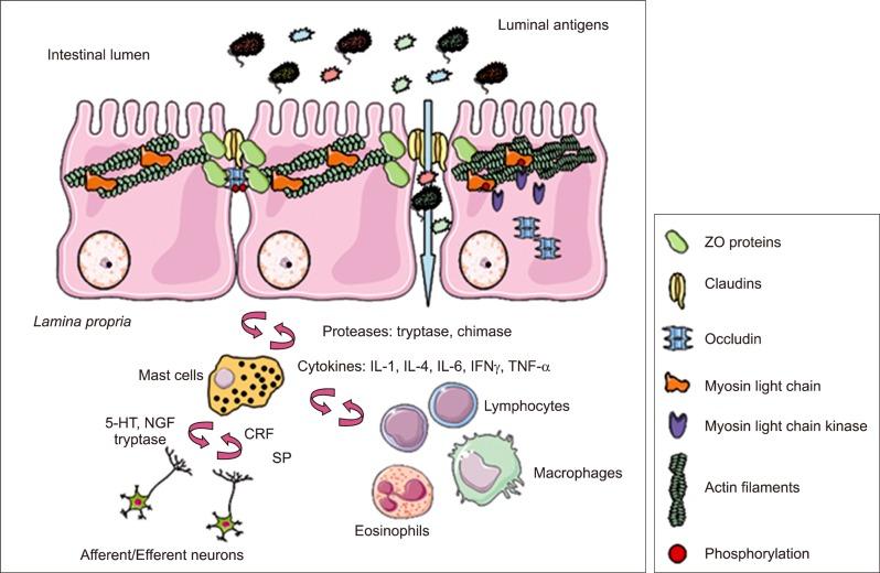 https://cdn.ncbi.nlm.nih.gov/pmc/blobs/dcd0/3404166/17167bd8e54d/gnl-6-305-g003.jpg