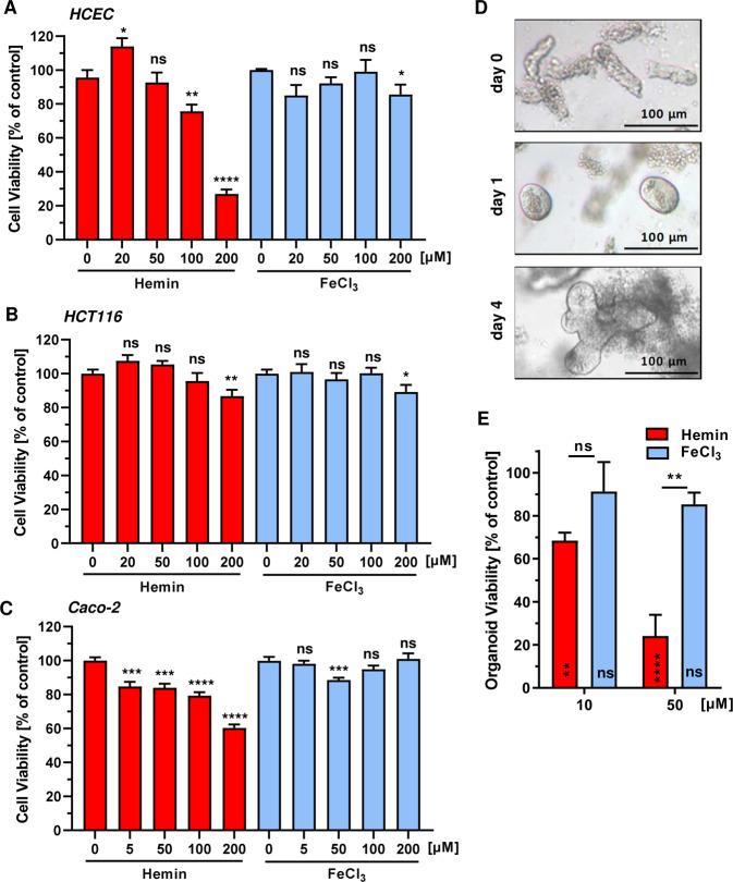 https://cdn.ncbi.nlm.nih.gov/pmc/blobs/dcd0/7511955/53a6148f0b8b/41419_2020_2950_Fig2_HTML.jpg