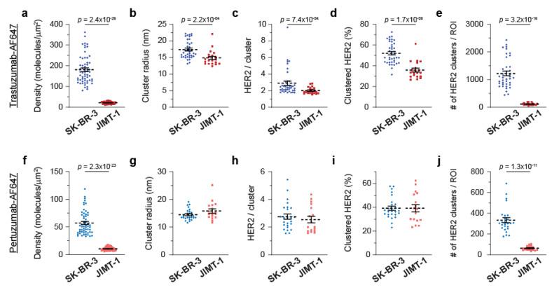 https://cdn.ncbi.nlm.nih.gov/pmc/blobs/dcd0/9179327/f4c538cf15e2/cancers-14-02795-g003.jpg