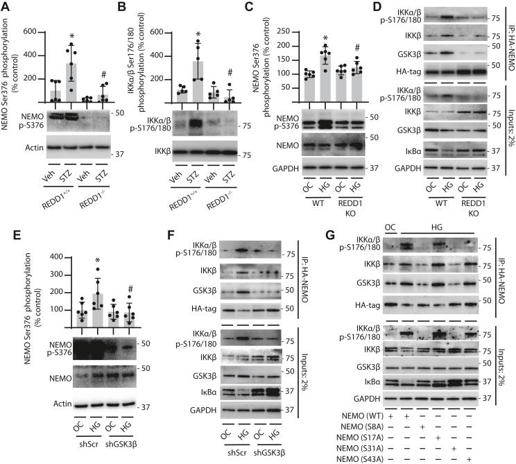 https://cdn.ncbi.nlm.nih.gov/pmc/blobs/dcd3/11904504/62e1fb97b74a/gr3.jpg