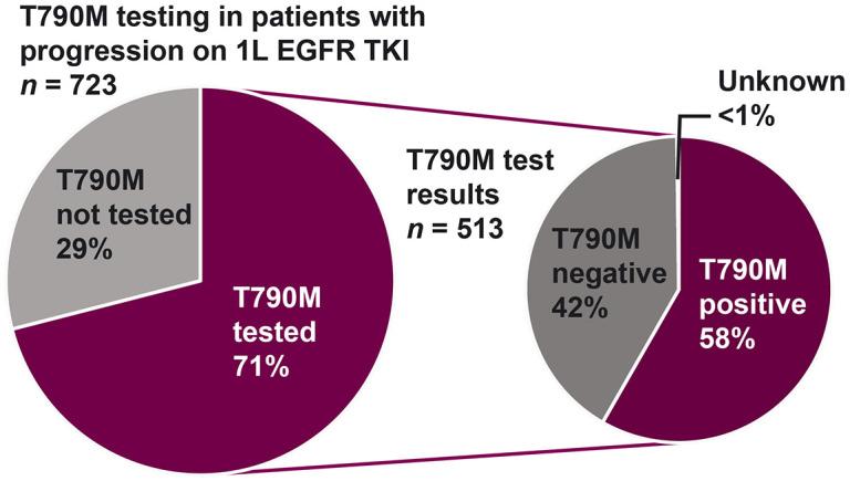 https://cdn.ncbi.nlm.nih.gov/pmc/blobs/dcd4/8842149/6419cb6dbec9/10.1177_17588359211059874-fig2.jpg