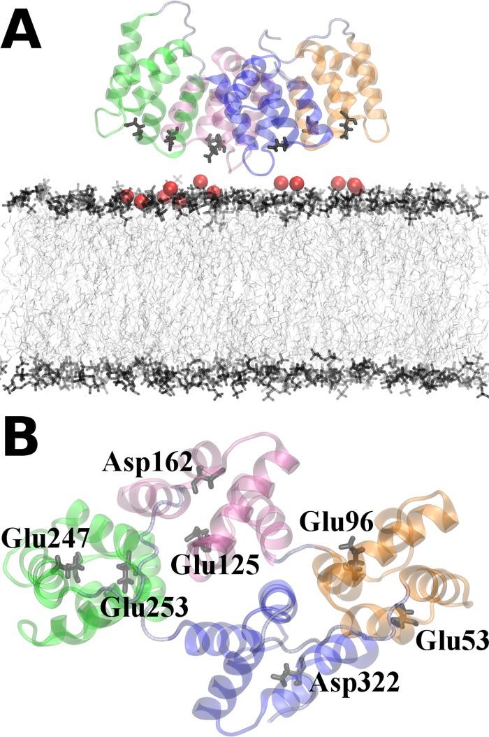 https://cdn.ncbi.nlm.nih.gov/pmc/blobs/dcd7/5609761/30e66e9f0481/pone.0185440.g002.jpg