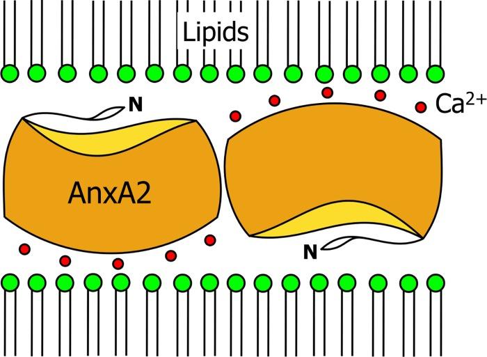 https://cdn.ncbi.nlm.nih.gov/pmc/blobs/dcd7/5609761/6af3e4a341be/pone.0185440.g001.jpg