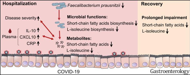 https://cdn.ncbi.nlm.nih.gov/pmc/blobs/dcd8/8529231/ad06fec59c4a/fx1_lrg.jpg